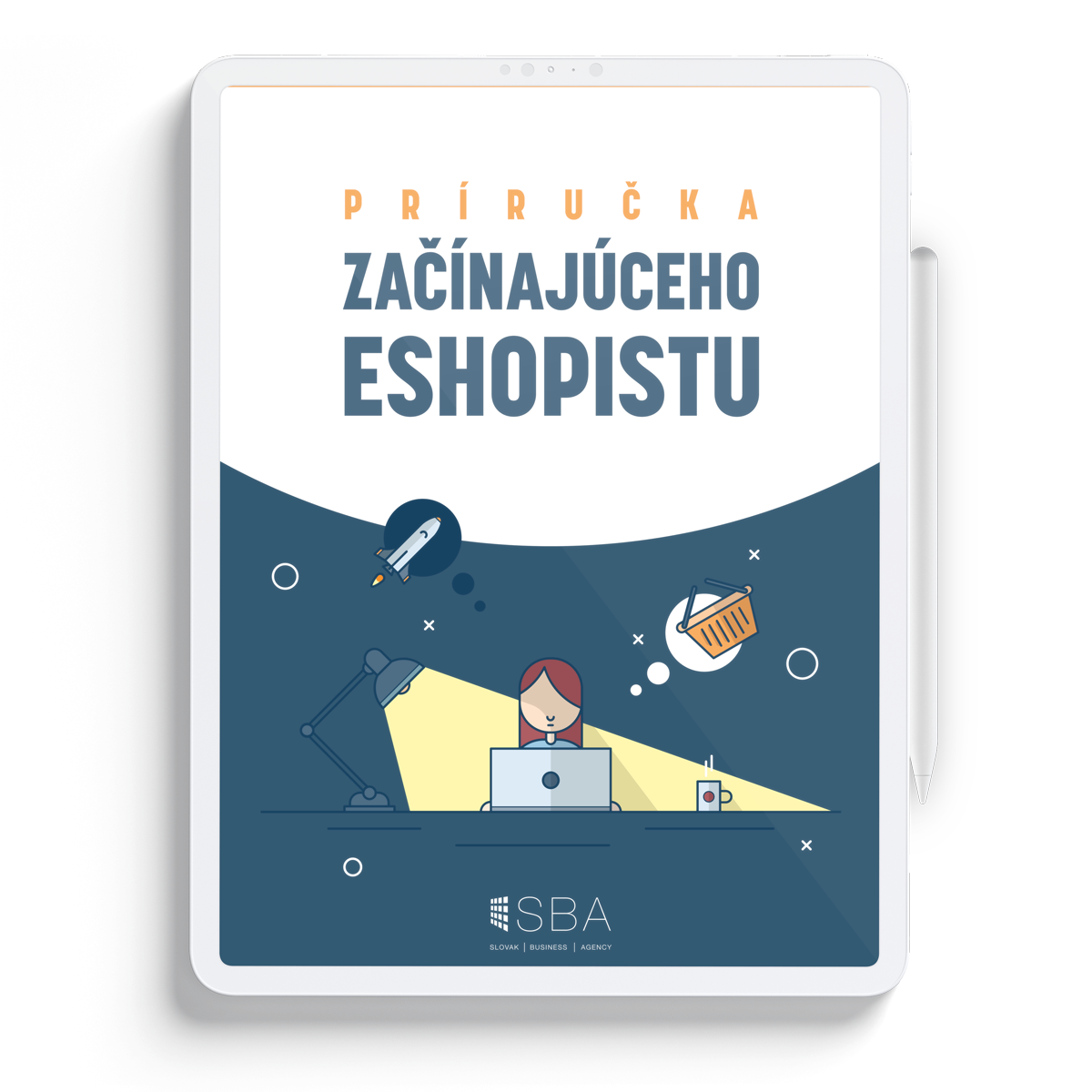 príručka začínajúceho eshopisu - ebook - sba